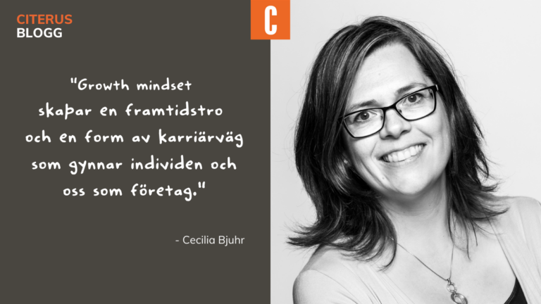 Vad Innebär Det Att Få En Delegering